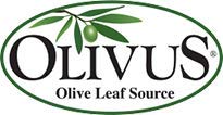 Olive Leaf Tea - Certified Organic - Non-GMO Herbal Tea Bags (100 count) - Sourced from Spain and Manufactured in USA - Antioxidant Immunity Supplement for Health Wellness &amp Vitality
