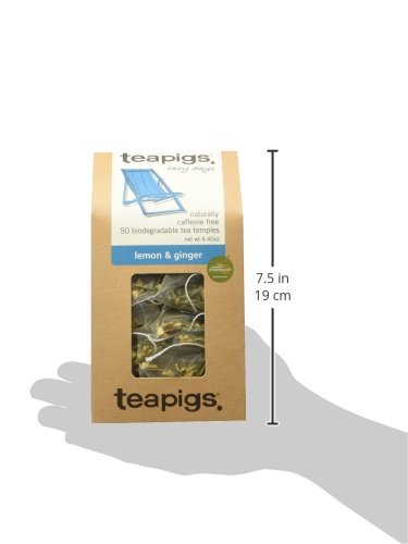 teapigs Herbal Tea Bags Made With Whole Leaves Pack of Tea bags Ginger Lemon 50 Count