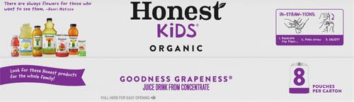 Honest Kids Goodness Grapeness Grape Fruit Juice 6.75 Fl Oz (pack of 8)