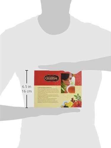 Celestial Seasonings Sleepytime Herbal Tea K Cup 48 Count Case for Keurig Brewers