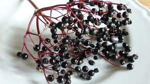 HUGE 18 oz Mrs. Miller's Elderberry Jelly - Pack of 2 - Amish and Homemade!