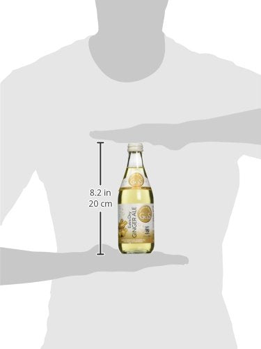 Gus Soda Soda Extra Dry Ginger Ale 12 Fl Oz