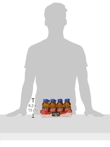 Langers 100% Juice Apple 10 Fl Oz (Pack of 12)