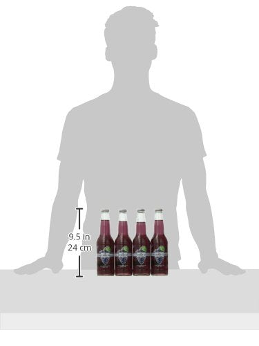 WBC/Goose Island Craft Soda Concord Grape 12 Ounce (Pack of 4)