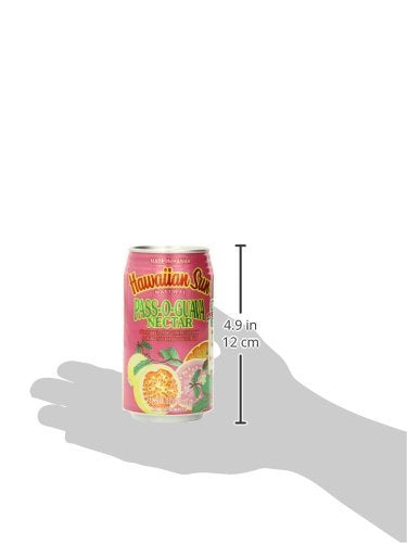 Hawaiian Sun Pass-O-Guava Nectar 11.5-ounce (Pack of 18)