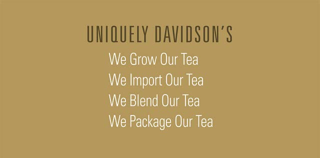 Davidson's Organics Moringa Hibiscus Watermelon 100-count Individually Wrapped Tea Bags