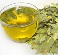 Senna Leaf - Senna alexandrina Dried Loose Leaf 100% from Nature (64 oz)