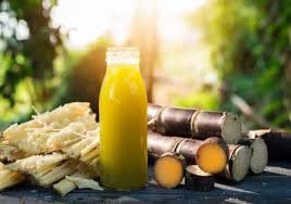 Yeshvi NATURAL Sugarcane Juice Powder &amp Spicy Guava Powder Combo Pack Instant Mix Drink Powder Drink Ready to Serve 200gm