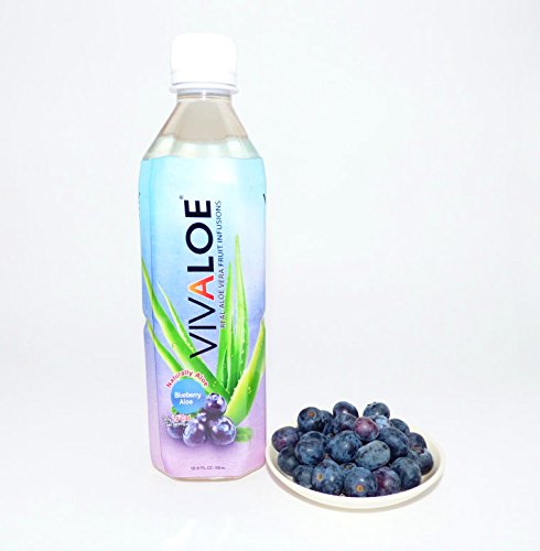 VIVALOE Blueberry Aloe 16.9fl oz (12 Pack)