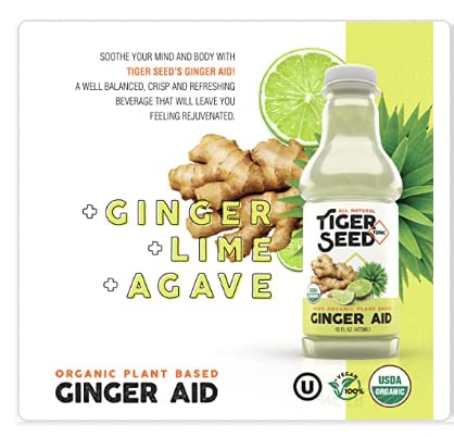 Ginger Aid Turmeric Tea and Elderberry Lemongrass - Tiger Seed Beverage Variety Pack - Plant Based Hydration &amp Immune Support - 16 FL OZ Bottles (Pack of 12) Organic Vegan Kosher