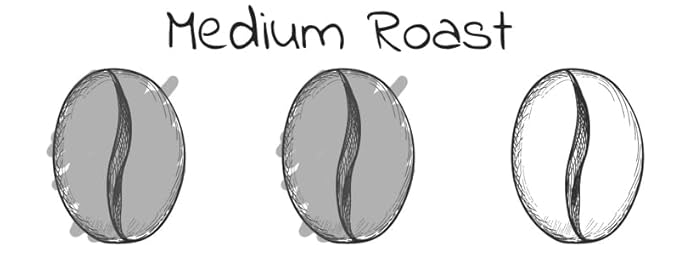 Kitty Town Coffee: Robust Roy Medium Roast Coffee From Brazil &amp Costa Rica 2lb (32oz) Whole Bean