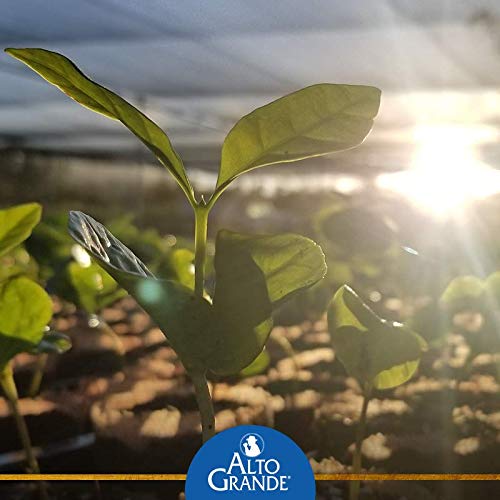 Alto Grande Garrido Expreso Cafe Crema Cafe Rico and Yaucono Ground Coffee Puerto Rico Coffee Roasters Variety Bundle Gift Collectors Case Pack of 5 Cans (48.8 Ounces Total)
