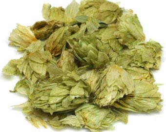 Hops Flowers - Dried Humulus lupulus Loose Tea from 100% Nature (8 oz)