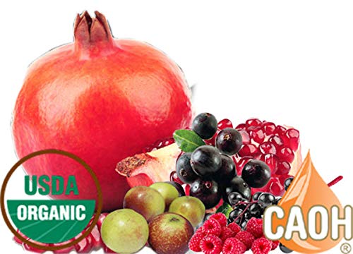 Acai Max a healthy organic Acai Juice blend (2-32 oz Bottles)