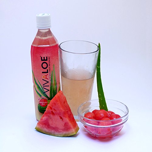 Vivaloe Watermelon Flavor Aloe Beverage All Natural Aloe Juice 16.9 fl. oz./500 mL 12 Count