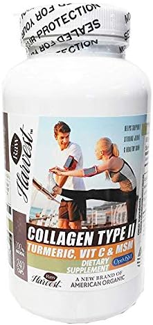 Collagen Type II with Turmeric Vitamin C &amp MSM 240 Capsules 1 Pack