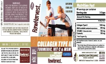 Collagen Type II with Turmeric Vitamin C &amp MSM 240 Capsules 1 Pack