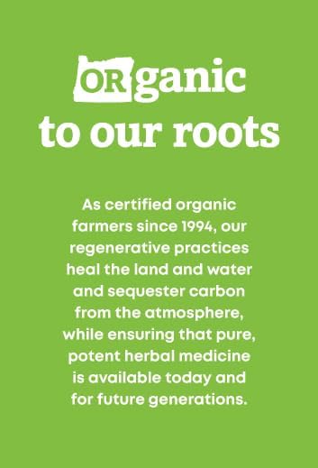 Oregon's Wild Harvest Certified Organic Nettle Capsules with Stinging Hairs Allergy Supplement 600 mg 90 Capsules