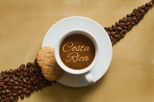 Cafe Rey Selecto Costa Rica Ground Coffee 500 g/17.06 oz.