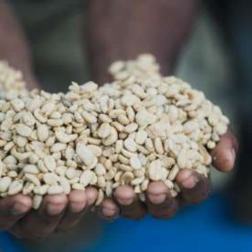 Papua New Guinea Single Origin Arabica Coffee Medium Roast Whole Bean 2lbs 1-Pack
