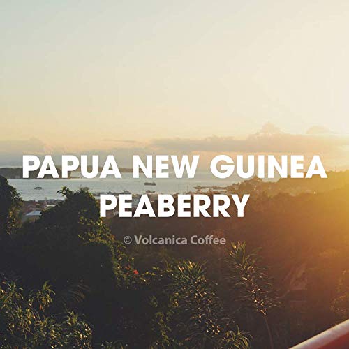 Papua New Guinea Peaberry Coffee Ground Medium Roast Fair Trade Fresh Roasted 16-ounce