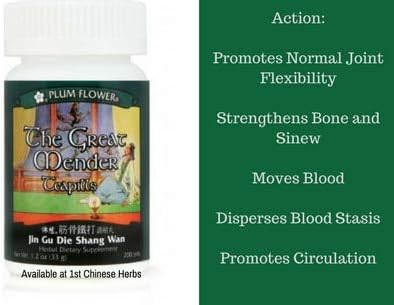 The Great Mender Teapills (Jin Gu Die Shang Wan) 200 pills