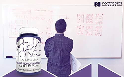 Nootropics Depot Uridine Monophosphate Capsules | Disodium Salt (60 Count) Cognitive Enhancer* | Nootropic | Choline Precursor