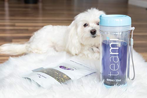 Teami Pure Butterfly Pea Flower Tea - Blue &amp Purple Dried Butterfly Pea Flower Supports Health and Beauty - Caffeine-Free Hand Selected Jasmine Infused Premium Tea - 30 servings per bag