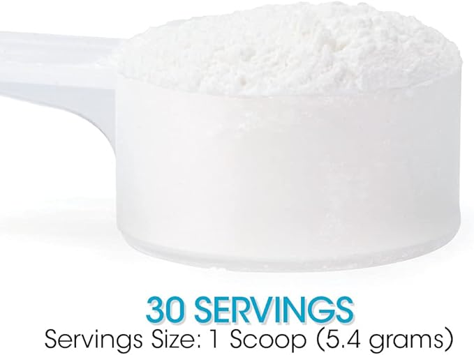 Silver Fern Gut Repair - Digestive Health Supplement Powder - L-Glutamine Curcumin Zinc &amp Ascorbic Acid (2 Tubs - 60 Servings)