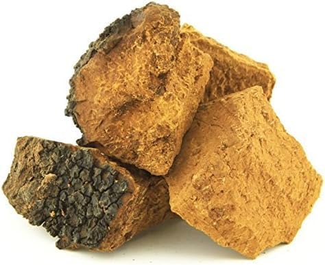Tao Chaga – Wild Harvested Canadian Chaga Mushroom Chunks 16oz (1 lb) | 100% Organic &amp Authentic | Health Canada Approved