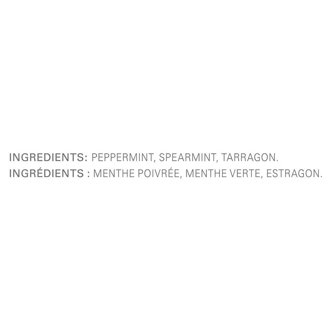 TAZO Refresh Mint Enveloped Hot Tea Bags Herbal Caffeine Free Non GMO 24 Count Pack of 6
