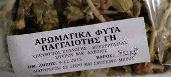 Greek Infusion Herbs the Mountain Tea (Sideritis Syriaca)65g 2.29oz