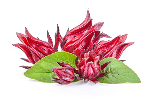 Jamaican Sorrel (Hibiscus Tea) 4oz – Dried Hibiscus Sabdariffa Flowers Loose Leaf | Caribbean Sorrel Drink | Caffeine Free Herbal Tea | Antioxidant Rich | RastaMan Stew