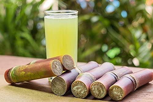 Yeshvi NATURAL Sugarcane Juice Powder &amp Spicy Guava Powder Combo Pack Instant Mix Drink Powder Drink Ready to Serve 200gm