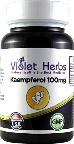 Kaempferol 100mg 60 Count BottleCapsuleKaempferia Galangal Rice Flour Magnesium Sterate Gelatin Capsule