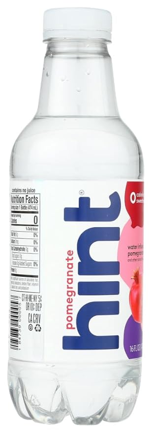 Hint Fizz Raspberry Lime 16 Fl Oz