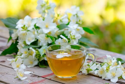 Xin Qing Taiwan High Altitude Jasmine Green Tea High Mountain Jasmine Green Tea Taiwan Tea Natural floral and tea aroma without bitterness 150g/5.29oz
