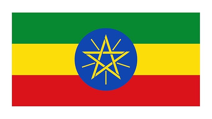 Roastika - Ethiopia Yirgacheffe - Premium Green Coffee Bean - Unroasted Coffee Bean - 2lb