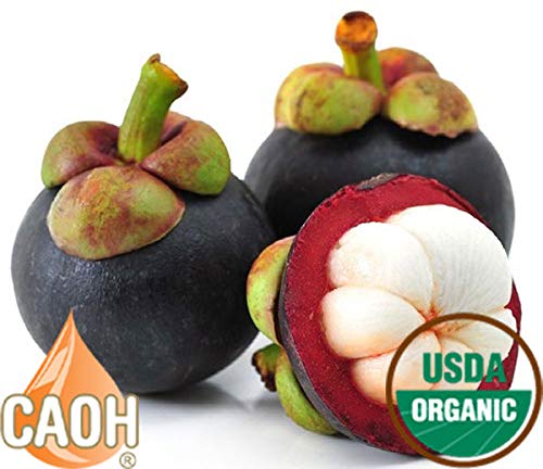 Absolute Mangosteen - Pure Organic Mangosteen Juice from CAOH® (3-32 oz Bottles)
