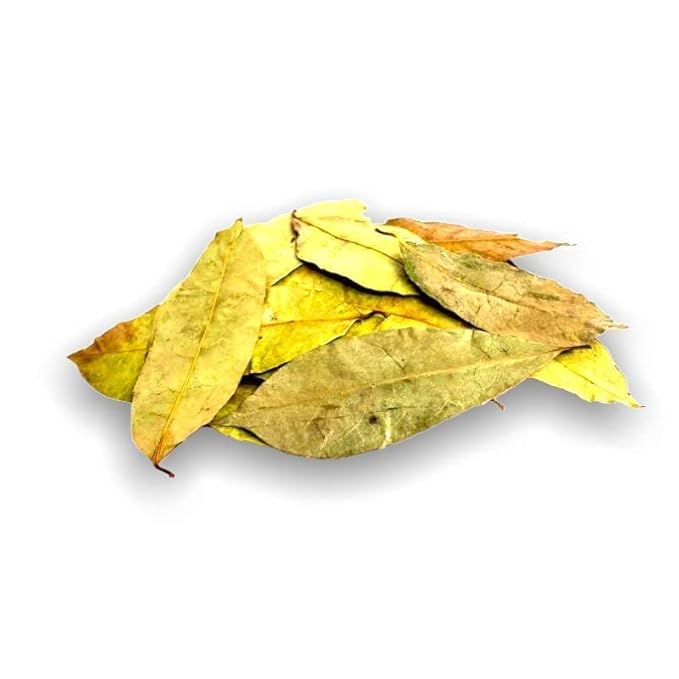 Yerbero - Whole Wildcrafted Dried Graviola Soursop Leaves 1 LB (453g - 1300+ Leaves Per Bag) Hoja De Guanabana Seca Crafted By Nature | Vacuum Sealed for Freshness | From Mexico | Premium Quality.