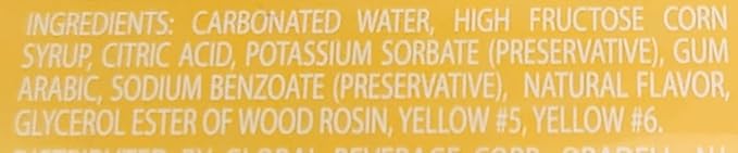 Fruit Flavored Sparkling Soda Pop Soft Drink 20oz Plastic Bottles (4pack Pineapple)