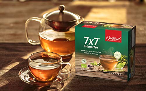 Dr. Jentschura's AlkaHerb with 49 Organic Herbs from Germany 100 Tea Bags