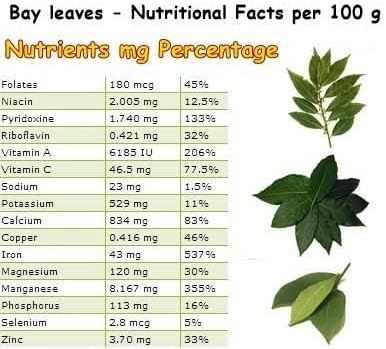 Mediterranean Bay Leaf Bay Laurel Live Plant. Standard Variety - Laurus Nobilis. Live Plant. Fragrant Fresh Edible. Best for Ground Planting Outdoor. (2 Bay Laurel. 4 inch pots)