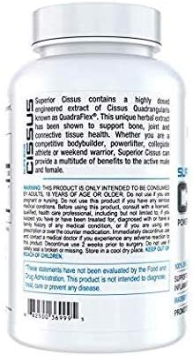 InnovaPharm Superior Cissus - QuadraFlex 4800mg -180 caps