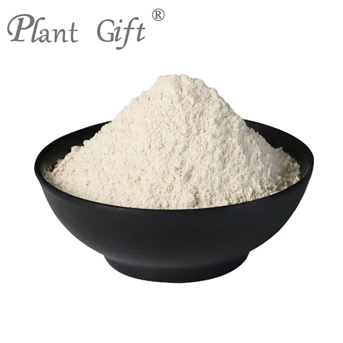 Plant Gift 100% Pure Angelica Dahurica Powder 白芷粉 Natural Angelica Flour Dong Quai Root Powder for Drinks Adds Flavor and Taste Non-GMO Powder No Filler No additives 100G/3.25oz