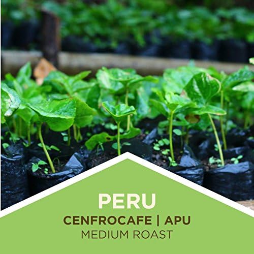 Tiny Footprint Coffee - Fair Trade Organic Peru APU Medium Roast - Whole Bean Coffee USDA Organic &amp Carbon Negative - You Drink Coffee We Plant Trees 16 Ounce9849109 (Pack of 2)