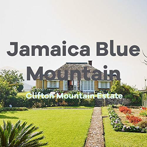 Jamaican Blue Mountain Coffee Clifton Mount Estate 100% Certified Ground Fresh Roasted 16-ounce