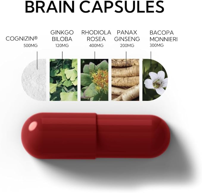 Neutonic Nootropic Brain Supplement | 1 Month Supply 90 Capsules | for Men and Women | Support Memory Mental Clarity Cognitive Function | Boost Focus Energy Brain Health