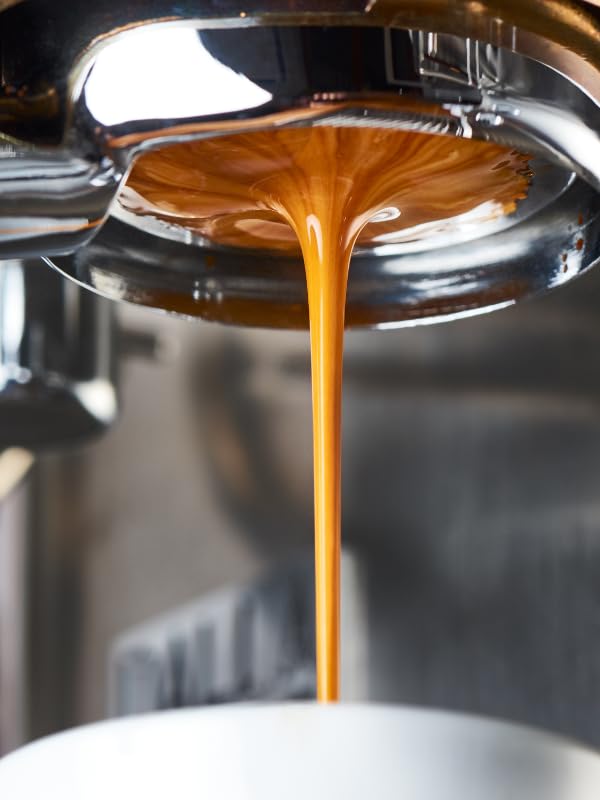 American Monarch Coffee Fıltre Dark Roast or Medium Roast (500 gr Fıltre Dark Roasted)