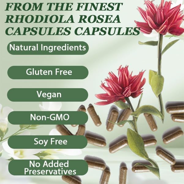 Floraviva Rhodiola Rosea Capsules | 500mg Rhodiola Rosea Extract Supplement for Stress Support Mental Focus &amp Energy Immune Function Non-GMO 60 Capsules